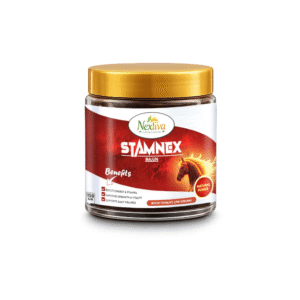 Stamnex Majun 150GM