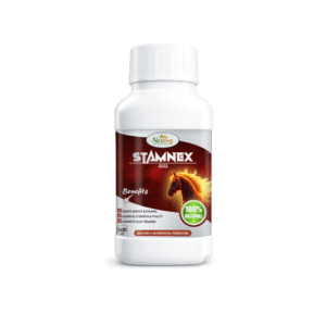 Stamnex Juice 500ML